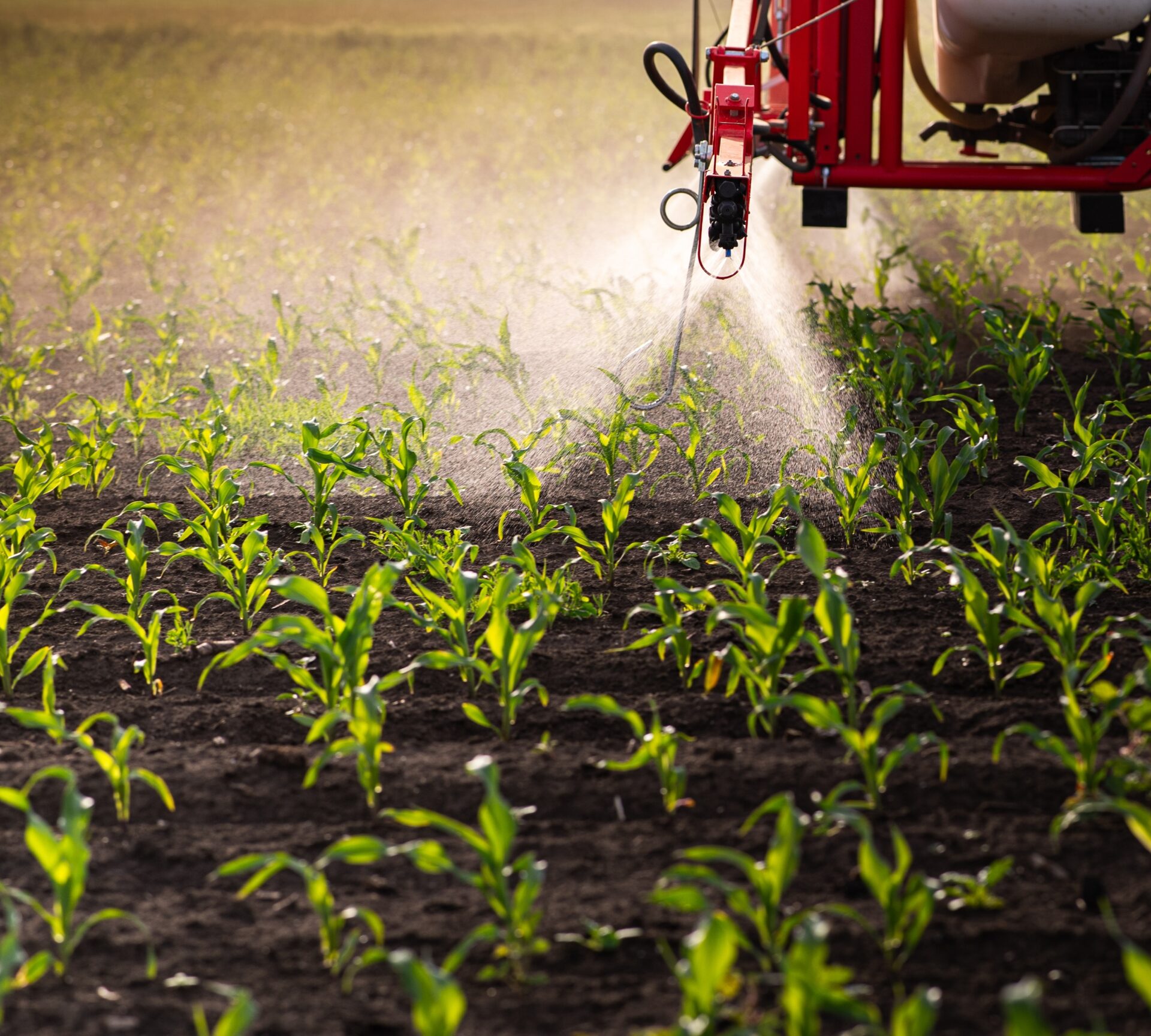 Fertilizer Sector Evaluation & Investment&hellip;